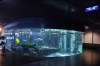 森の中の水族館。