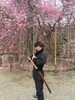 「桜、いよいよ満開直前！」