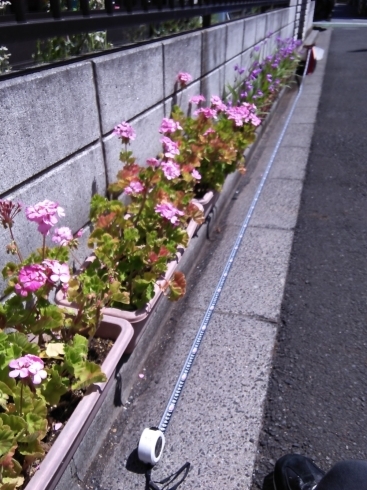 「本日の作業！　江戸川区の便利屋さんです。掃除・片付け・軽作業、お気軽にご相談ください！」