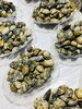 「西海物産館 魚魚市場鮮魚コーナーおすすめは「サワラ・ヤリイカ」です♪」