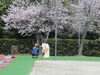 「入園式～でした」