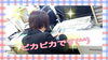 「✩こちらは春！爛漫✩」