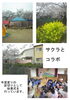 「4月の予定を掲載中。4月11日本日かなりのサクラが散りました。」