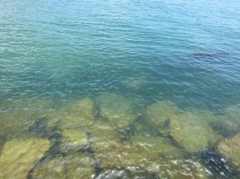 海水浴場はカップルやお友達同士で毎年賑わっています。