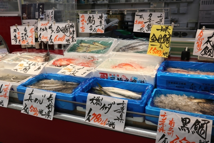 「広告特売です！！  八千代市、佐倉市の鮮魚店　　魚や山粋」