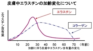 「あなたの知らないエラスチンの世界」