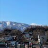 山雛「今日のお友達」