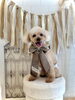 ラムちゃん「Happy Valentine 💕」