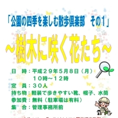 「公園の四季を楽しむ散歩倶楽部　その１」～樹木に咲く花たち～