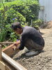 「大田市仁摩町のリノベーション工事　No.19」