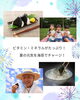 海苔の栄養「お中元・帰省土産に、喜ばれる贈り物　【岡谷市のおすすめ海苔×お茶専門店】」