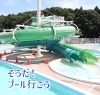 プール