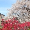 景観地10　不老川・としとらず公園