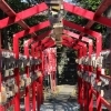 景観地12　野々宮神社