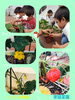 「家庭菜園☆第1号できました！【交野市・小規模保育園・一時預かり・月極保育】」