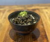 「朝妻ダルム丼」〜久留米名物ダルムと磯香り〜「10月11月　食欲の秋🌰　久留米のグルメ〜朝妻ヶ丘店へようこそ〜」