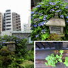【No.106】　根性で踏んばる！