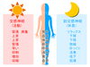 自律神経を動かすのは脳の中心にある「脳幹」「脳の中心から自律神経を整える｜機能神経学アプローチ⑥」