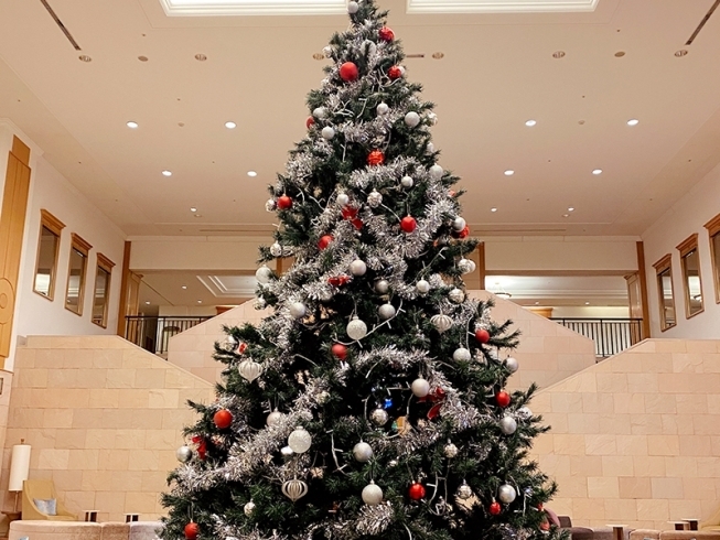 クリスマスイメージ「クリスマスツリー登場♪」