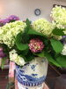 「＊紫陽花の花＊」