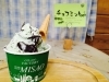チョコミントジェラート みさお牧場直営店 ミルク工房ジェラテリアmisaoのニュース まいぷれ 岡山市中区 南区