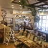 「〖hairsalon Douce〗新規のお客さま限定で各メニュー半額でご優待致します(☆∀☆)」