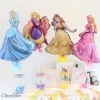 ディズニープリンセスでドレス当てクイズ Balloon Gift Chicorico バルーン ギフト チコリコ のニュース まいぷれ 出雲