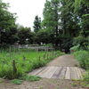 第42回　新宿中央公園のビオトープに行ってみよう