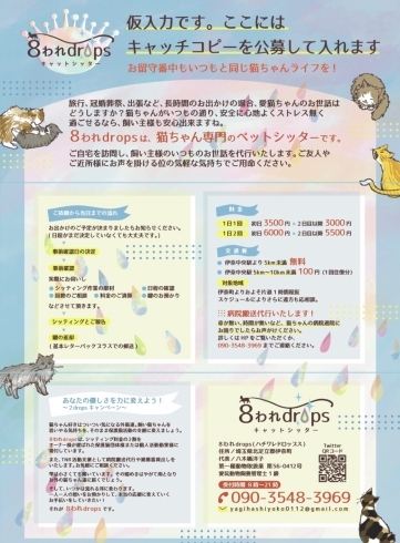 キャッチコピー大募集 キャットシッター 8われdropsのニュース いなナビ 伊奈町 キャッチコピー大募集 キャットシッター 8われdropsのニュース いなナビ 伊奈町