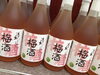 「釜石・浜千鳥の梅酒入荷致しました！」