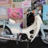 新車情報・Honda Little Cub（リトルカブ）
