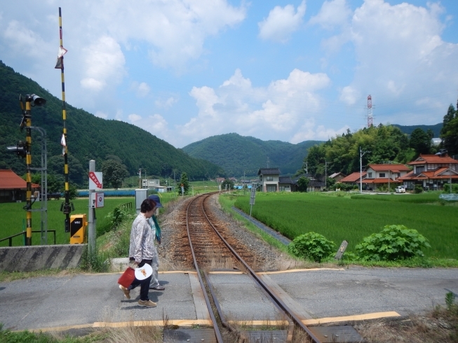 「夏のアスパラと鮎と常清滝ツアー」