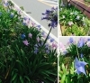 「千葉景色〜みどり台駅周辺〜」
