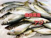 「○本日のお刺身○【島根県産】ヨコワマグロ、アジ」