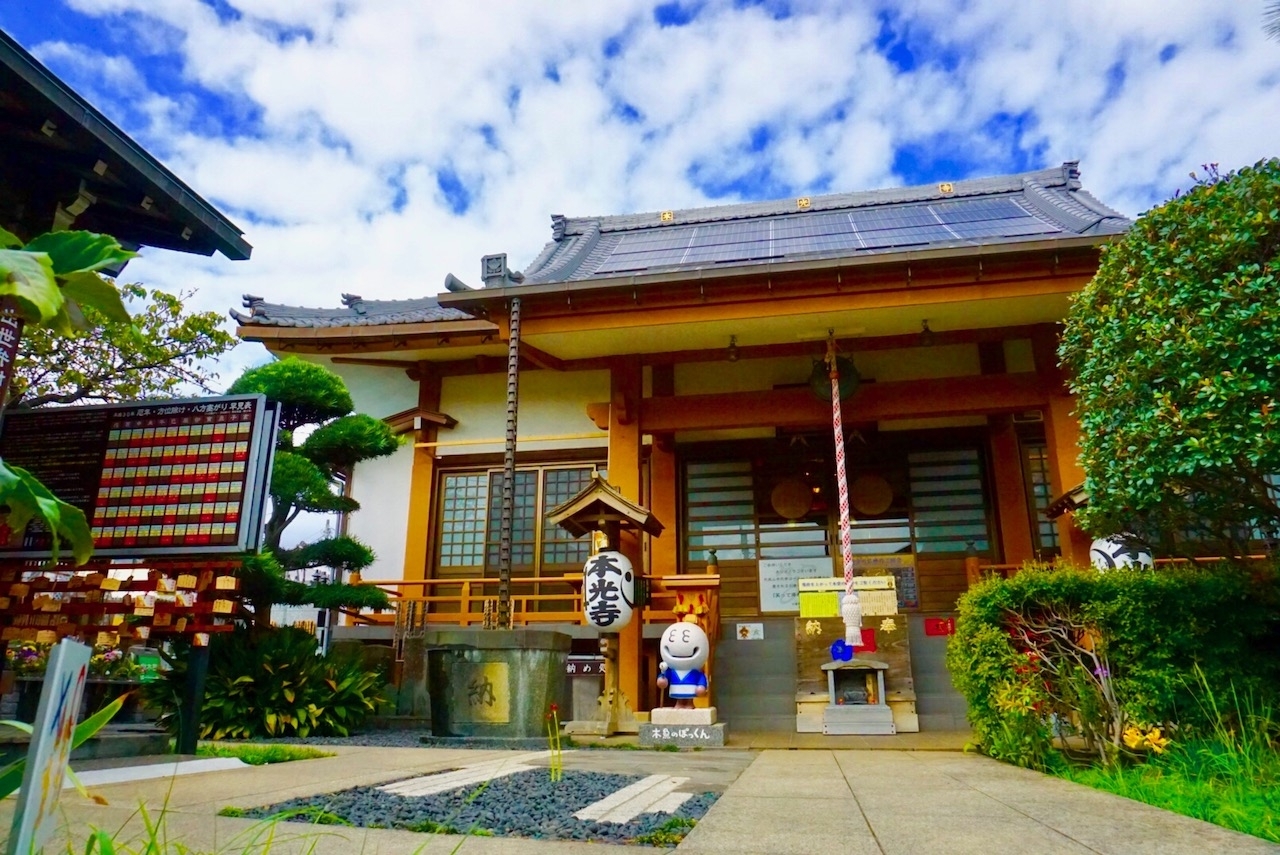 お寺なのに超面白い 市川大野 本光寺 まいぷれ 市川市 お寺なのに超面白い 市川大野 本光寺 まいぷれ 市川市