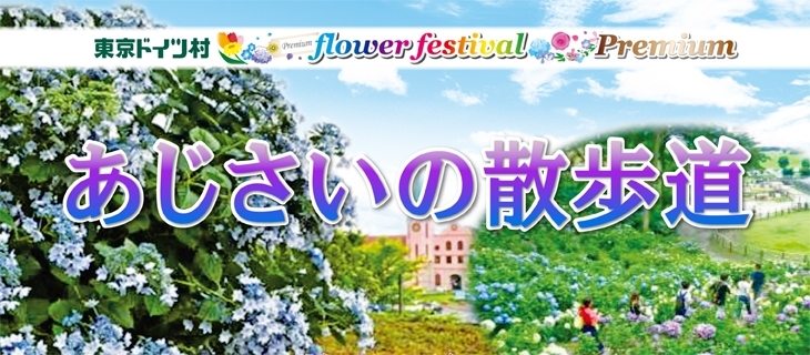東京ドイツ村 フラワーフェスティバル 茂原市 長生郡 おでかけ観光情報 まいぷれ 茂原市 長生郡