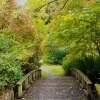 ■紅葉スポット■　横浜市金沢区【金沢自然公園】
