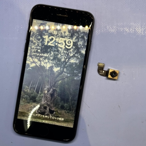 カメラのガラス割れあり】Apple iPhone SE 128GB カメラのガラス割れ カメラのガラス割れあり】Apple iPhone SE 128GB カメラのガラス割れ