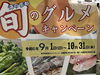 「秋イカの沖漬け丼大好評です！🦑✨」