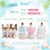 「本日インスタライブ＆新商品販売します🐶✨」