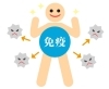 筋力Upで免疫力「体調管理はご自身の力でが一番！免疫力UPは【女性専用24時間ジム　アワード八王子】で」