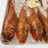 「魚魚市場鮮魚コーナーおすすめは「イサキ・バーべキュー3点セット」です♪」