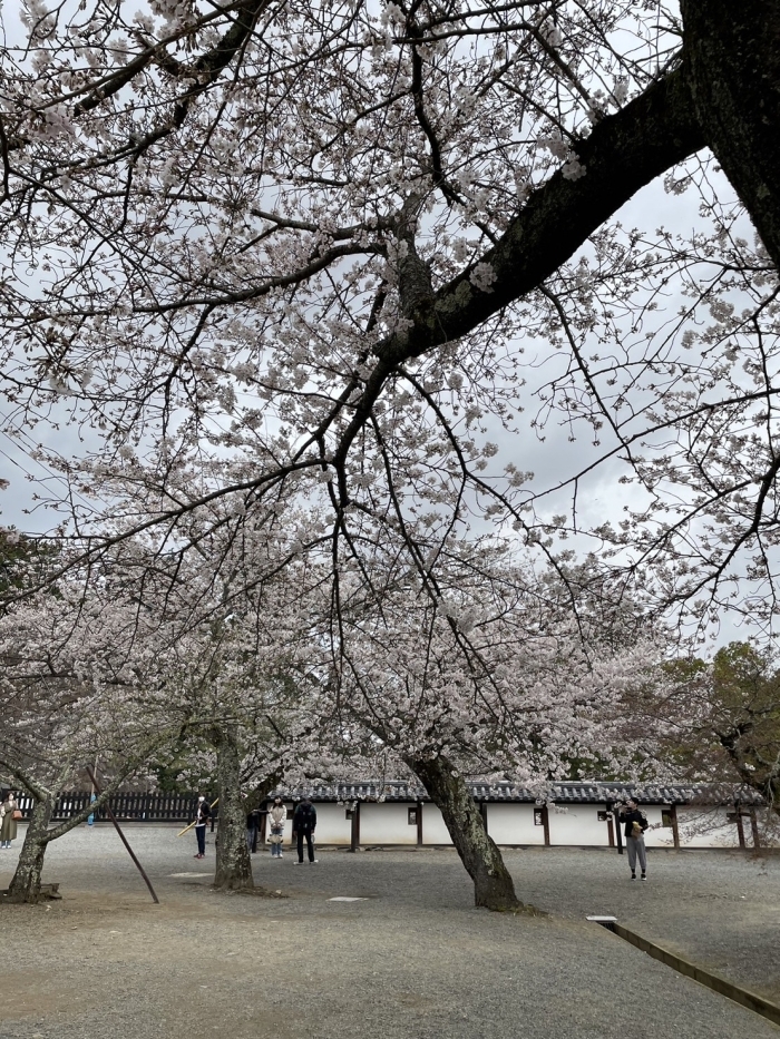 松江城山公園  松江市殿町