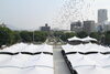 「平和記念式典（広島市原爆死没者慰霊式）に出席しました　2017年8月6日（日）」