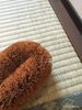 「畳のカビにご注意下さい！」
