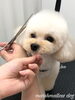 「秋のオプションキャンペーン　（╹◡╹）」