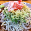 蕎麦処いづみやのカレーライスと冷やし蕎麦セット
