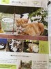 「ねこのこはるくん」