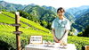 癒やしのお茶とおもてなし「新感覚！なめらか抹茶で贅沢な午後に 世界初　食用緑の微粒ペースト・抹茶ペースト」