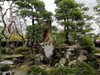 素敵な庭園「旧青山本邸　ひなまつり　－明治・大正文化の薫りと共にー」